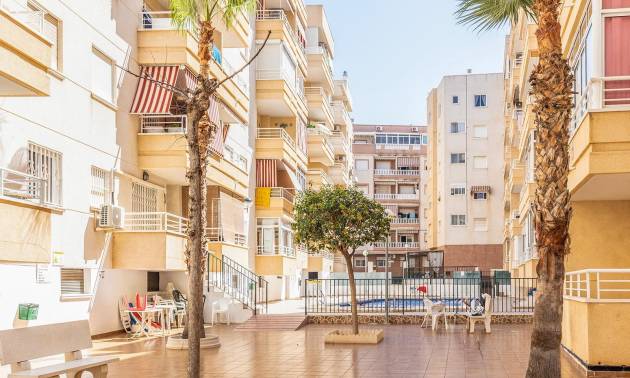 Bestaande woningen - Appartment - Torrevieja - Estacion de autobuses