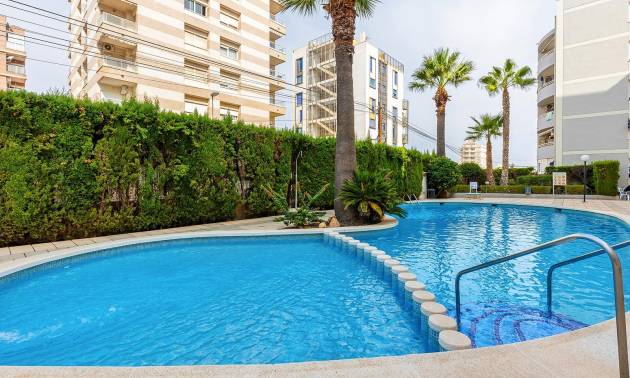 Revente - Apartment - Torrevieja - Nueva Torrevieja