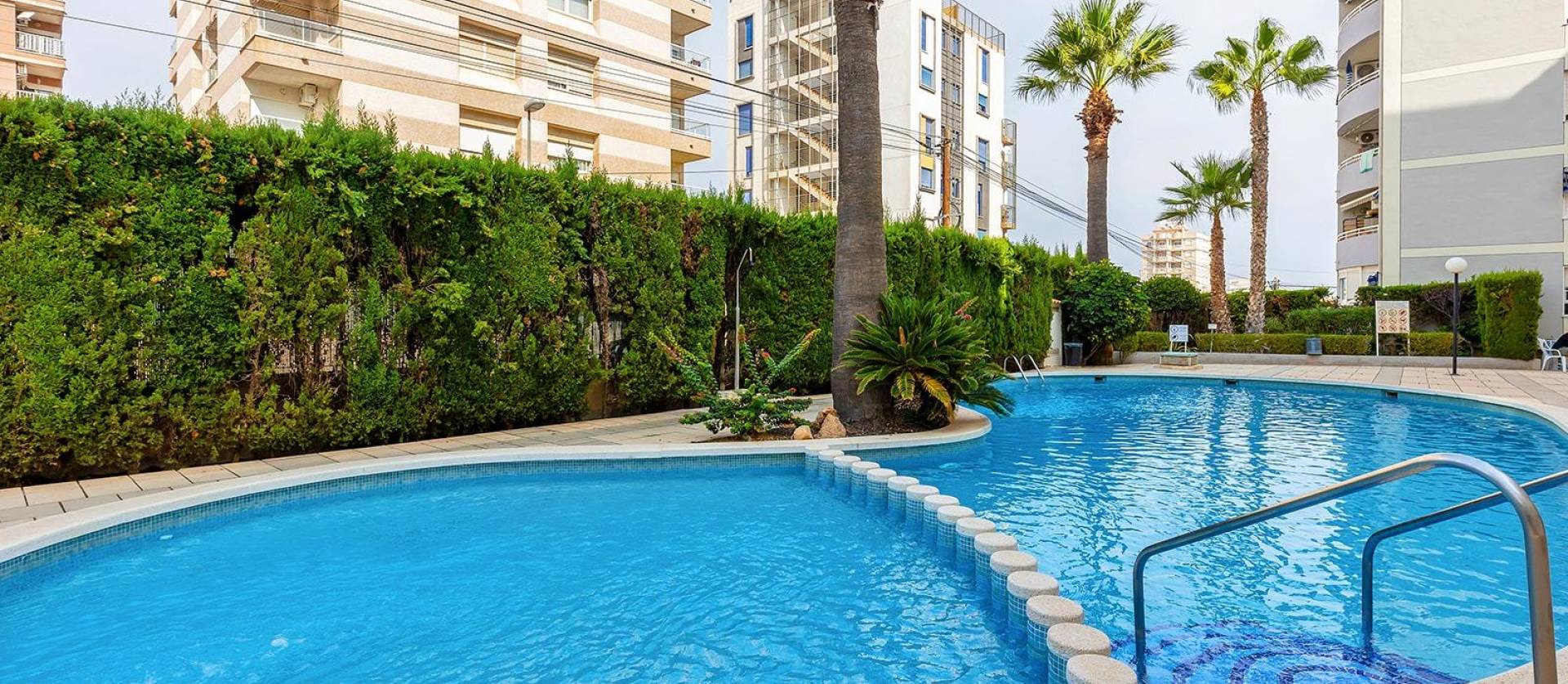 Bestaande woningen - Appartment - Torrevieja - Nueva Torrevieja