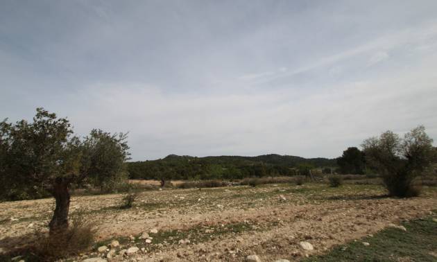 Venta - Country House - Monovar