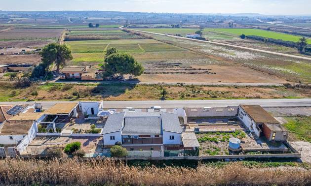 Revente - Country House - Elche Pedanías - Daimés