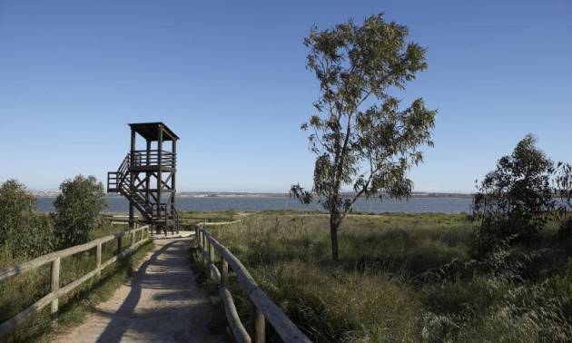 Nueva construcción  - Apartment - San Miguel de Salinas - Pueblo