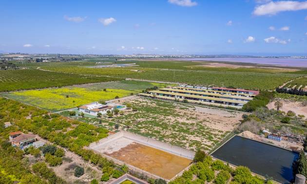 Venta - Villa - Los Montesinos