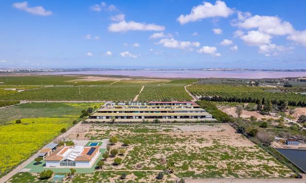 Venta - Villa - Los Montesinos