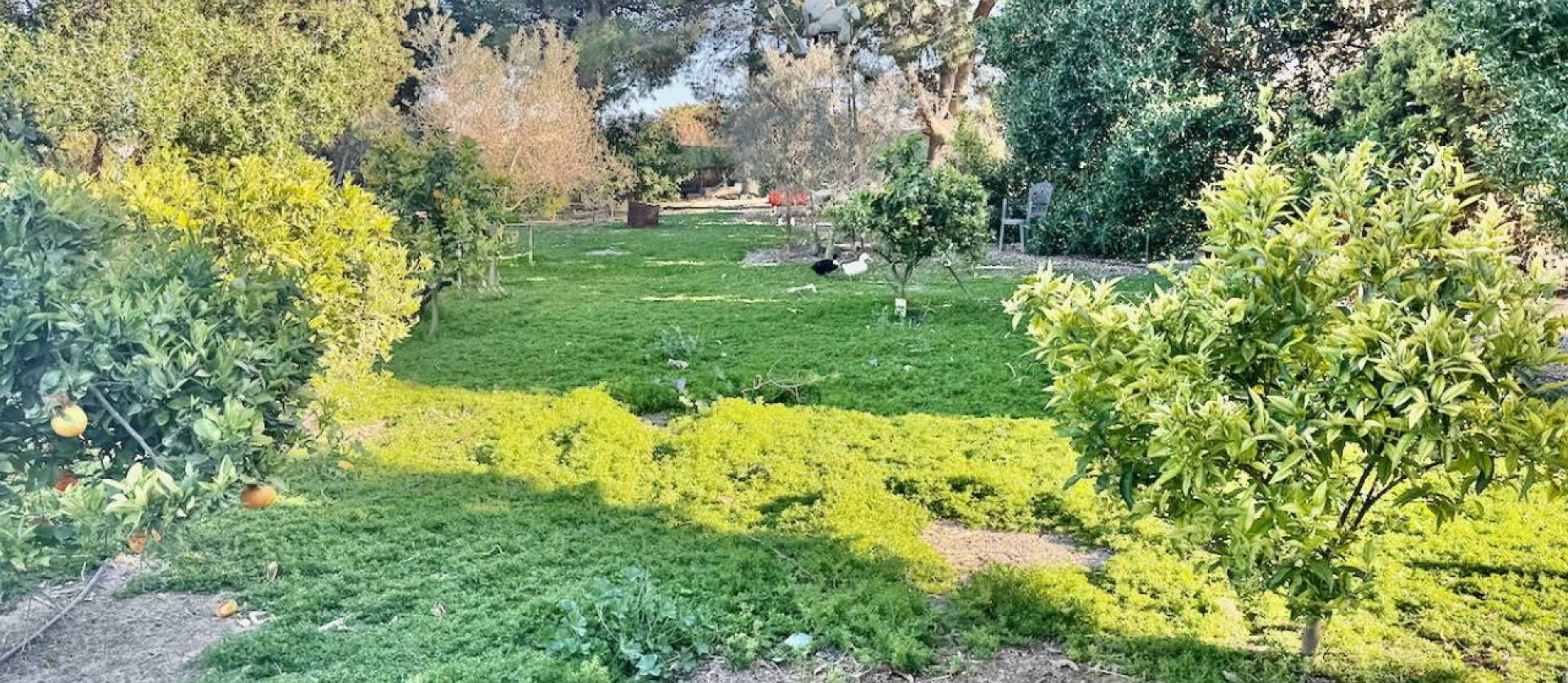 Bestaande woningen - Villa - Guardamar del Segura