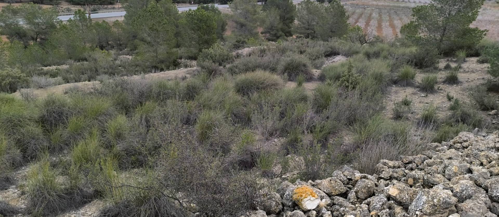 Sale - Land - Chinorlet