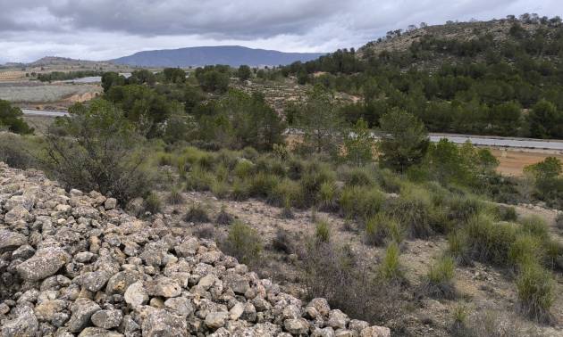 Sale - Land - Chinorlet