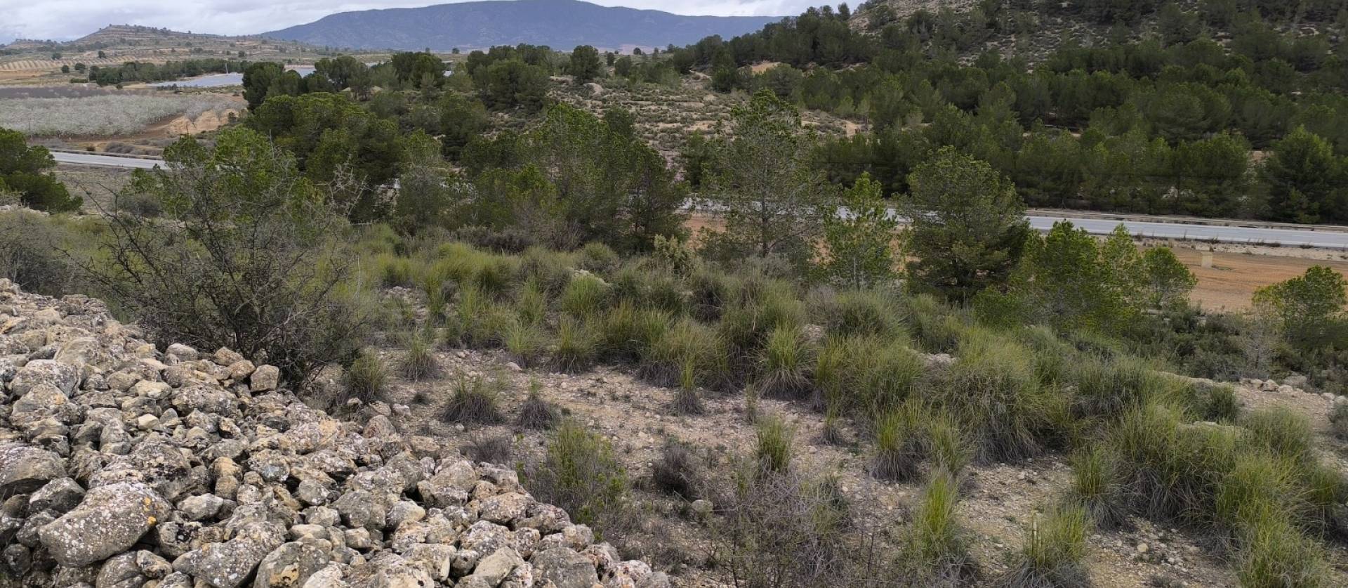 Sale - Land - Chinorlet