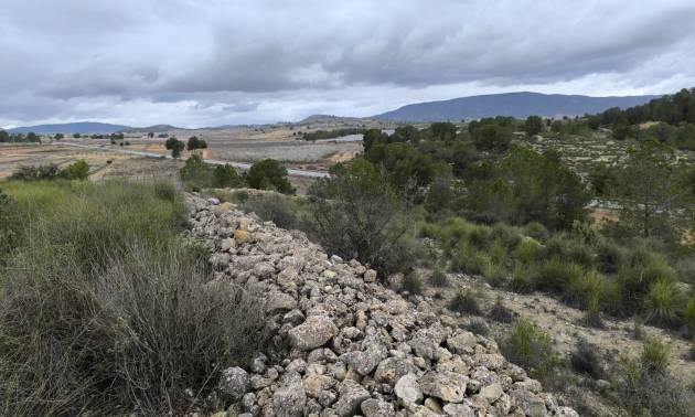 Sale - Land - Chinorlet