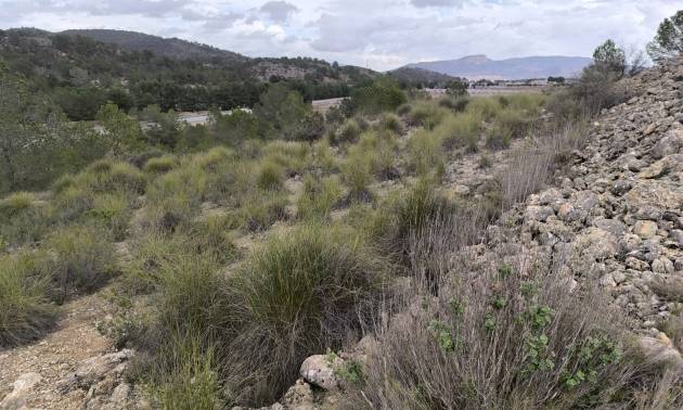 Sale - Land - Chinorlet