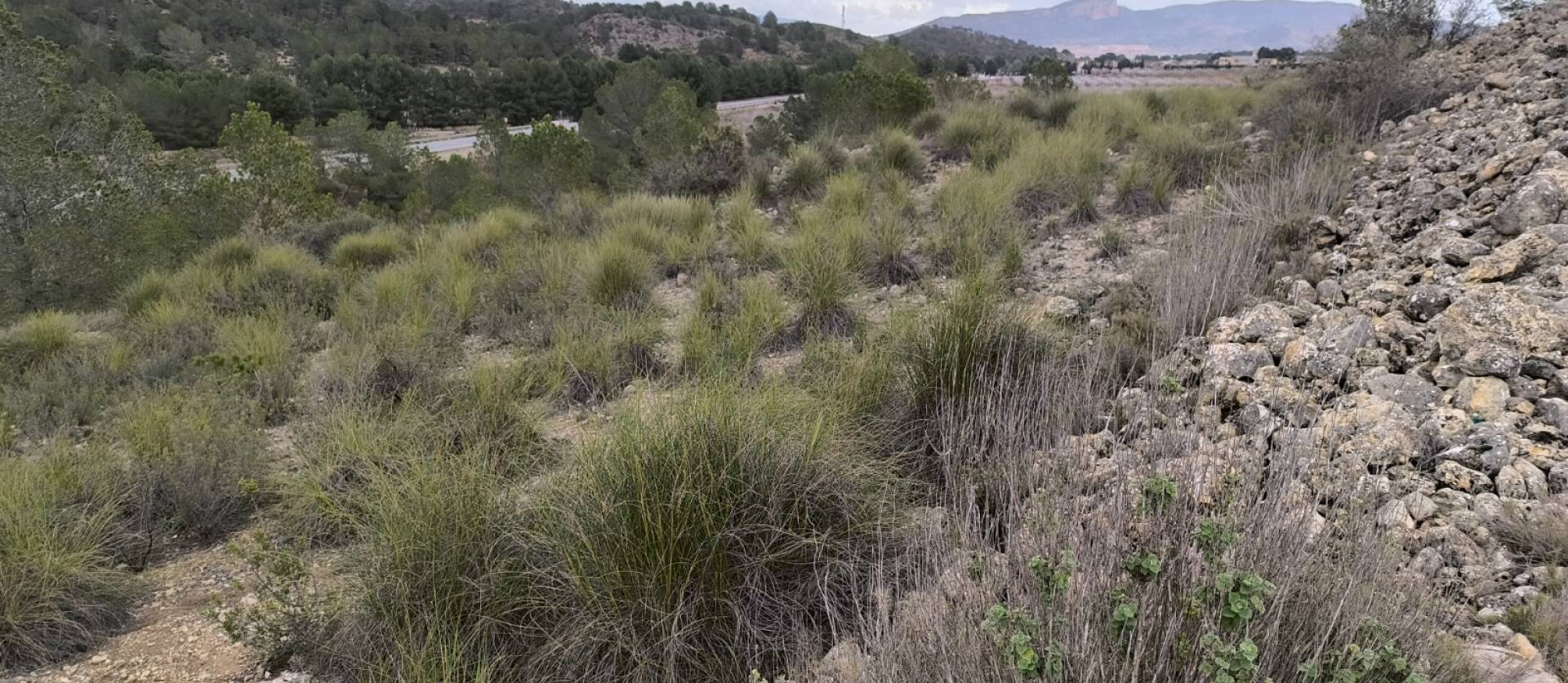 Sale - Land - Chinorlet