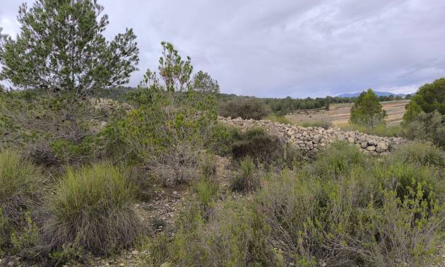 Sale - Land - Chinorlet