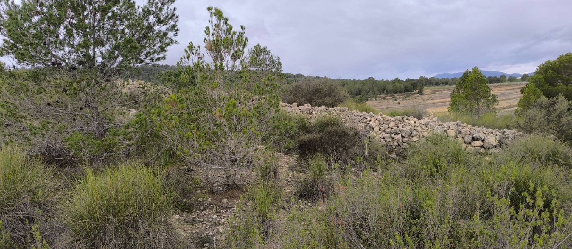 Sale - Land - Chinorlet