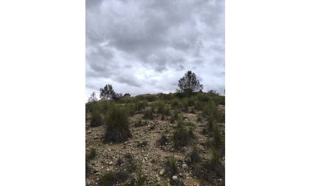 Sale - Land - Chinorlet