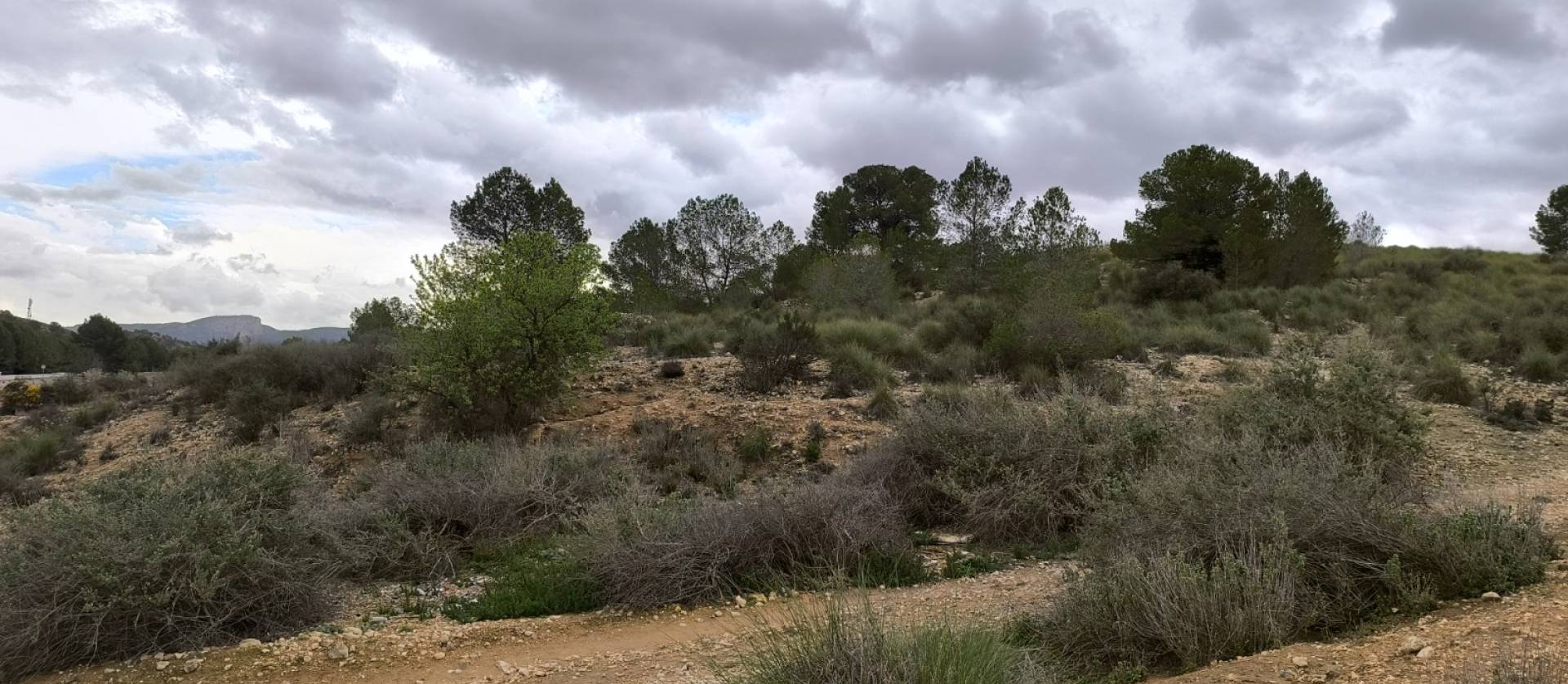 Sale - Land - Chinorlet