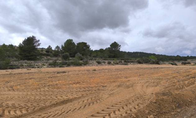 Sale - Land - Chinorlet