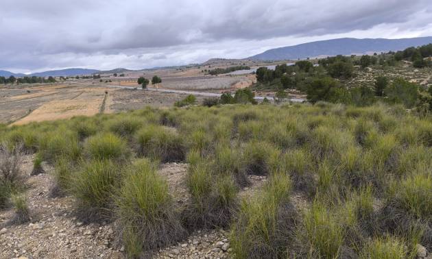 Sale - Land - Chinorlet