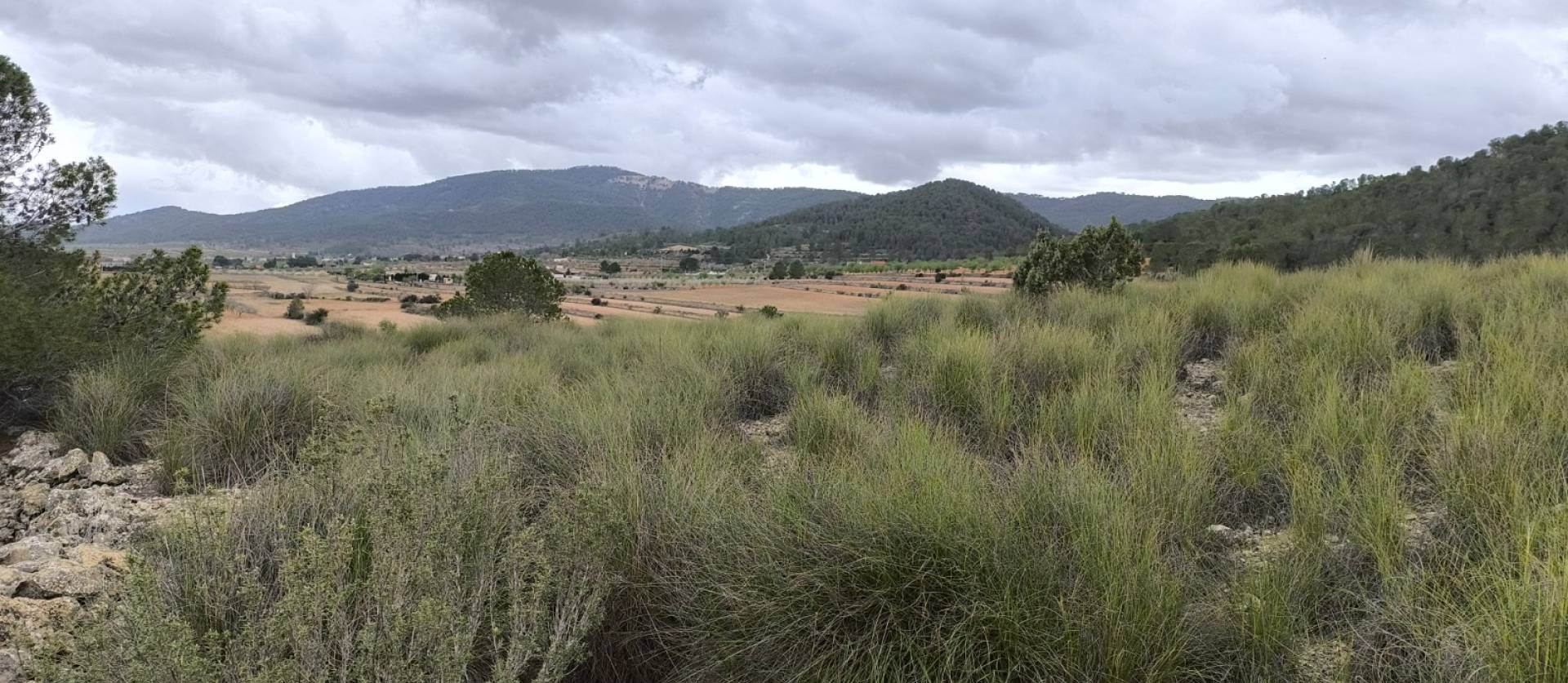 Sale - Land - Chinorlet