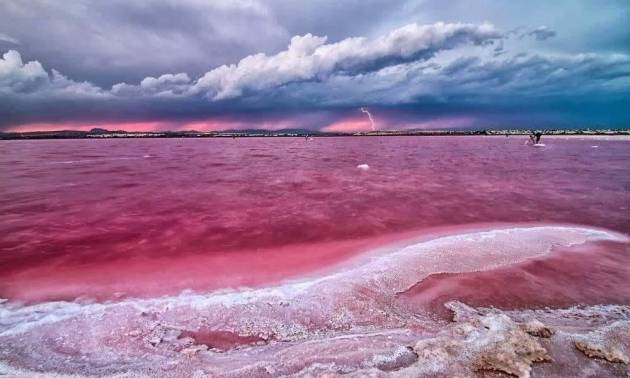 Nueva construcción  - Bungalow - Torrevieja - Altos del Sol