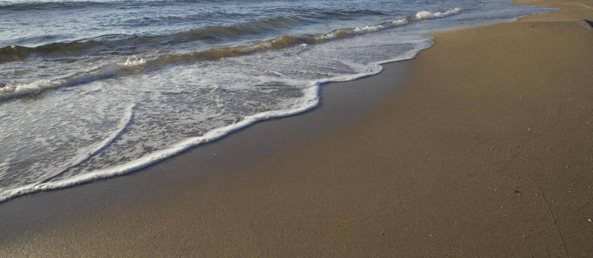 Nueva construcción  - Bungalow - Torrevieja - Altos del Sol