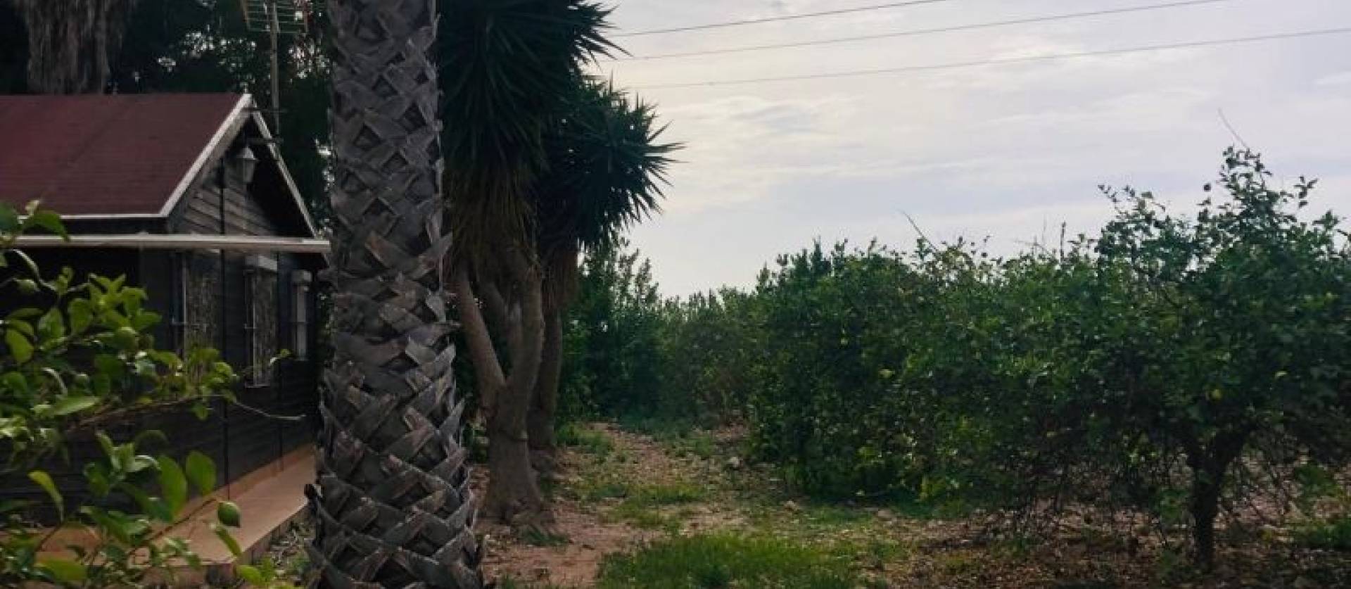 Venta - Country House - Orihuela