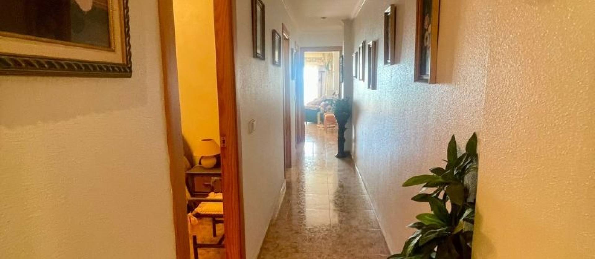 Venta - Apartment - Torrevieja