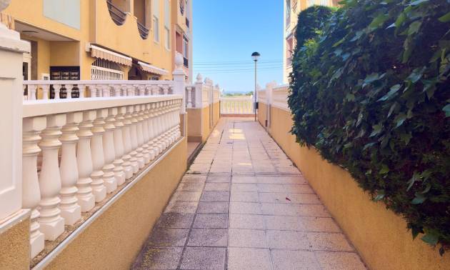 Venta -  - Torrevieja - La Mata pueblo