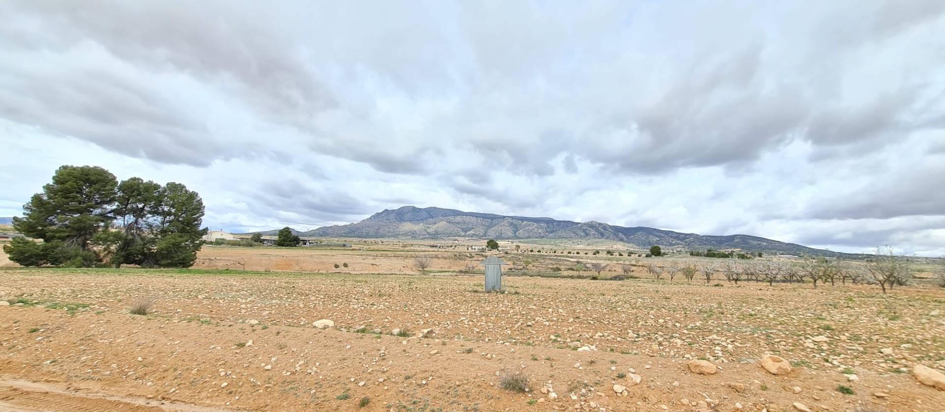 Revente - Land - Torre Del Rico