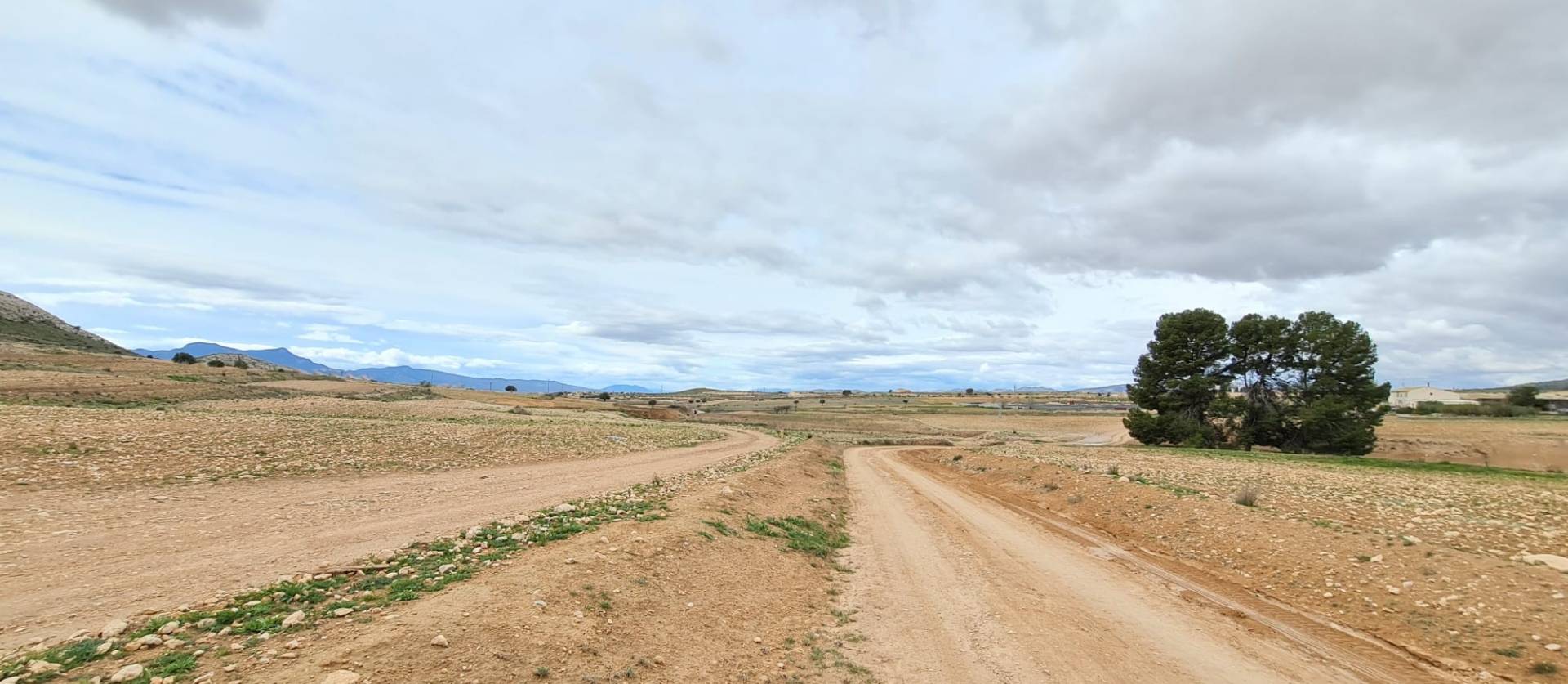 Revente - Land - Torre Del Rico