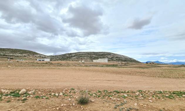 Revente - Land - Torre Del Rico