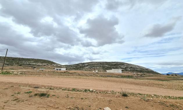 Revente - Land - Torre Del Rico