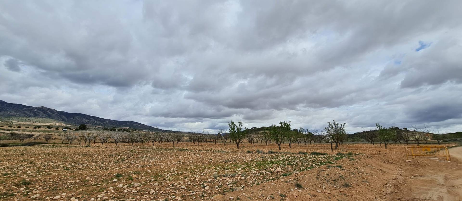 Revente - Land - Torre Del Rico