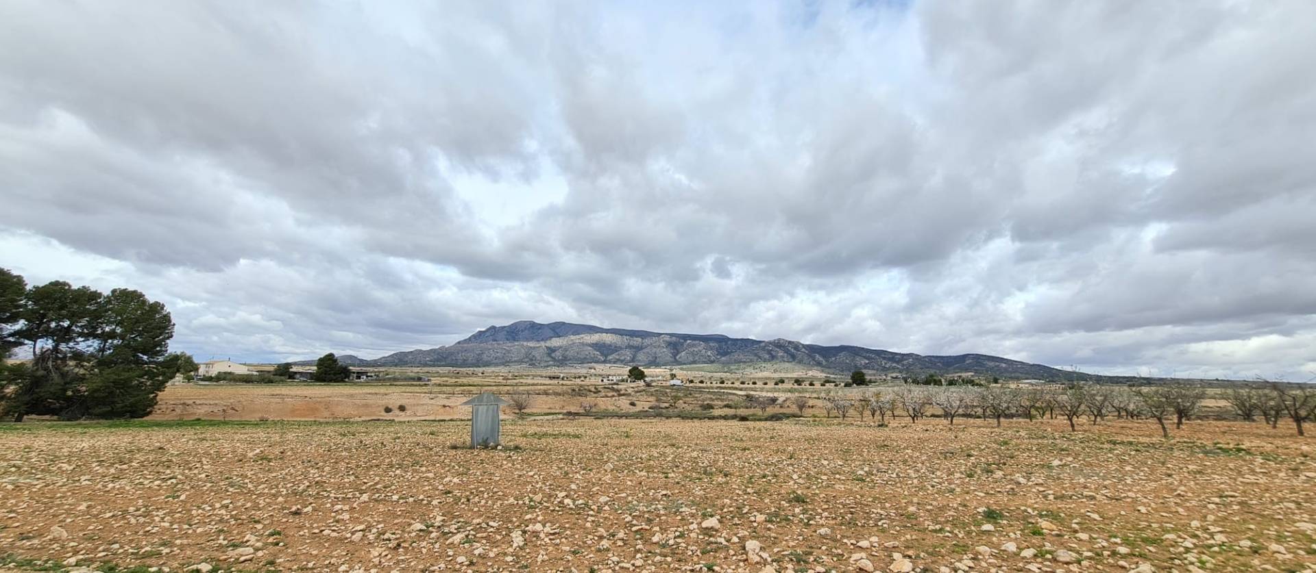 Revente - Land - Torre Del Rico