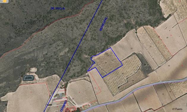 Sale - Land - Villena