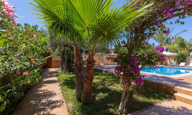 Venta - Villa - Orihuela - Orihuela Costa