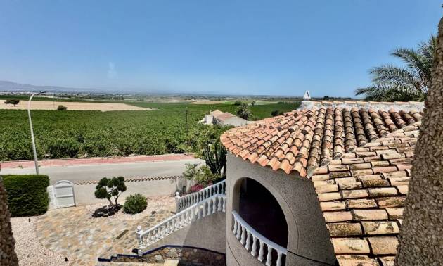 Venta - Villa - Algorfa - Lomas De La Juliana