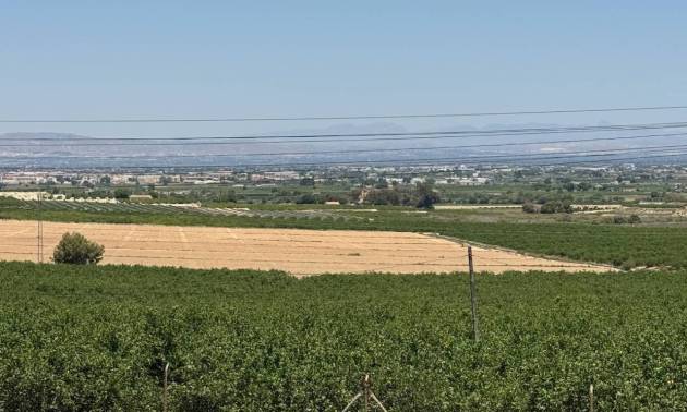 Venta - Villa - Algorfa - Lomas De La Juliana