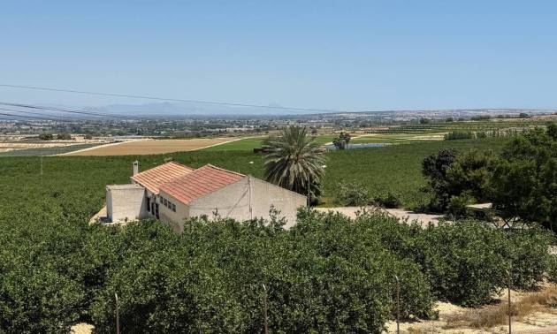 Venta - Villa - Algorfa - Lomas De La Juliana