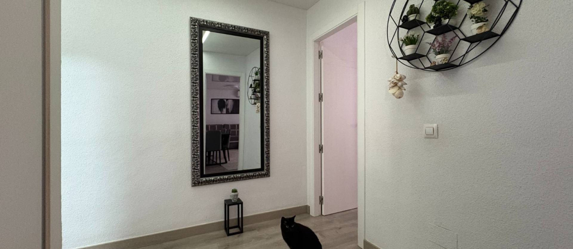 Venta - Apartment - Torrevieja - Centro