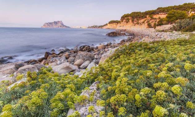 Nieuwbouw projecten - Villa - Benissa