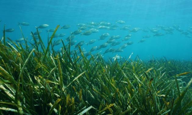 Nieuwbouw projecten - Villa - Benissa