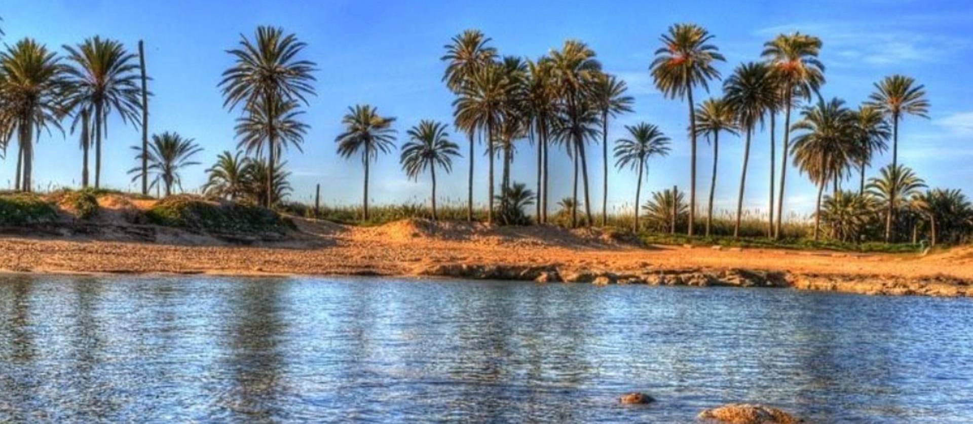 Nueva construcción  - Apartment - Torrevieja