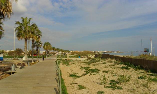 Nueva construcción  - Villa - Pilar de la Horadada