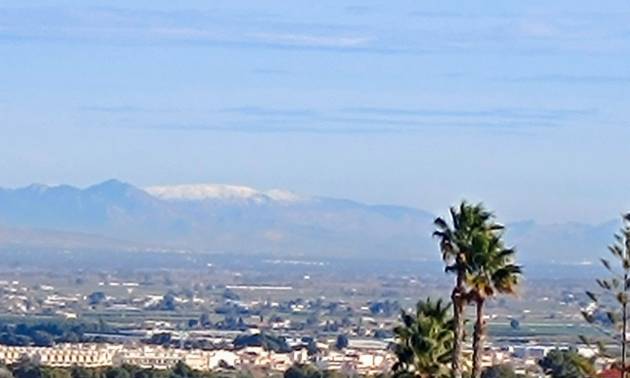 Venta - Villa - Algorfa - Lomas de Juliana