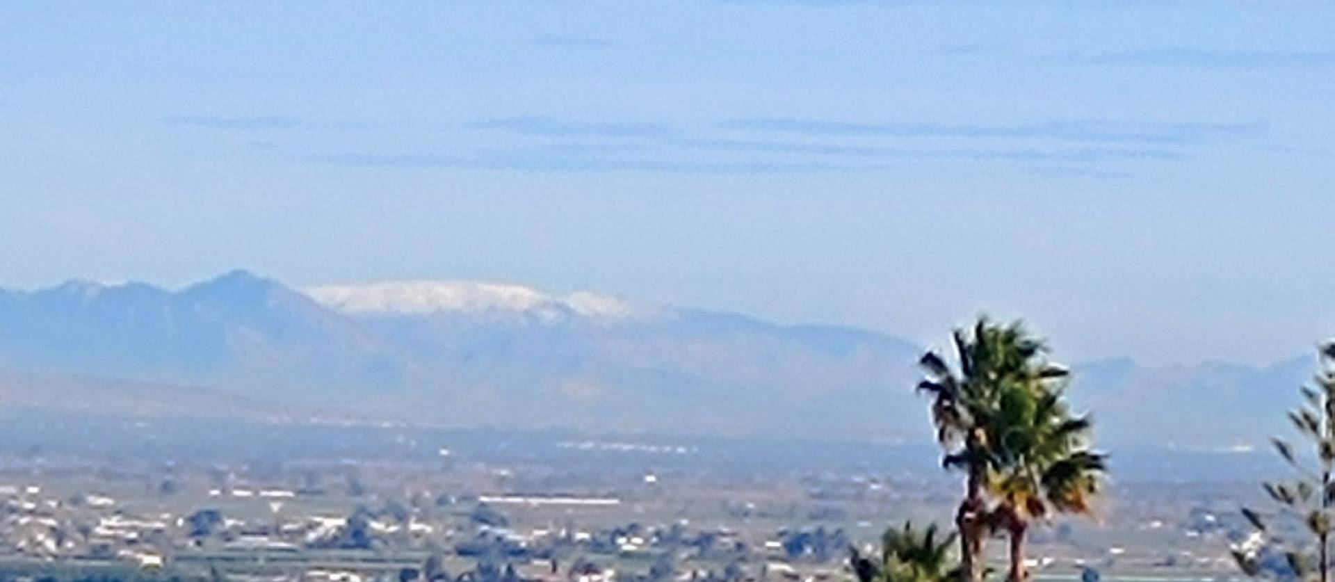 Venta - Villa - Algorfa - Lomas de Juliana