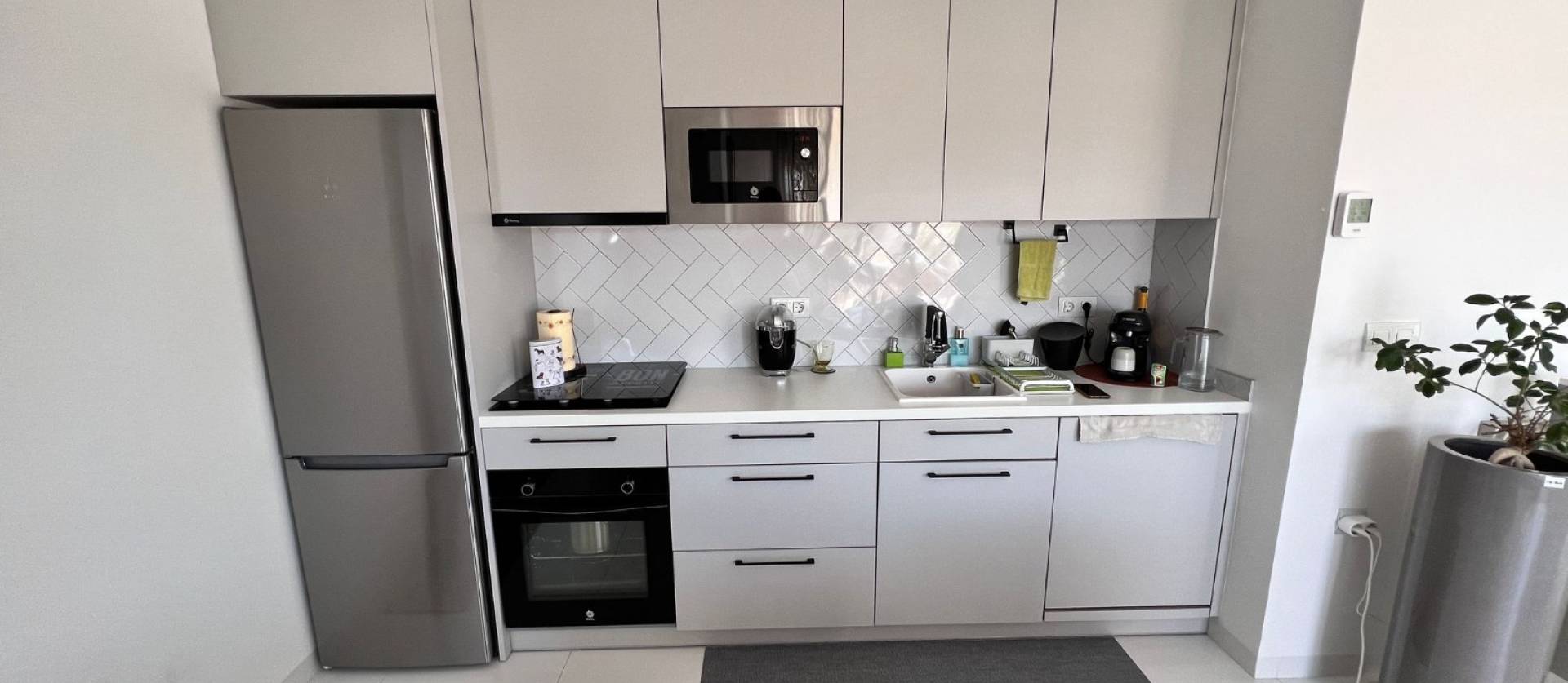 Venta -  - San Miguel de Salinas - San Miguel Salinas