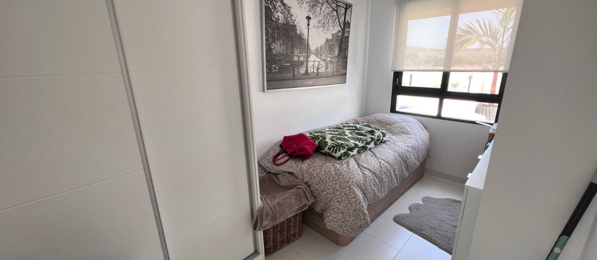 Venta -  - San Miguel de Salinas - San Miguel Salinas