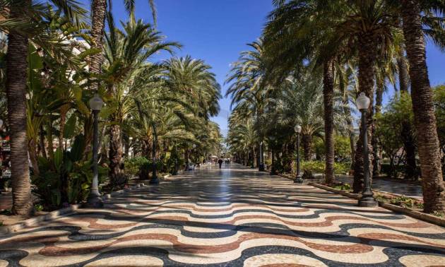 Nueva construcción  - Apartment - Alicante - Center