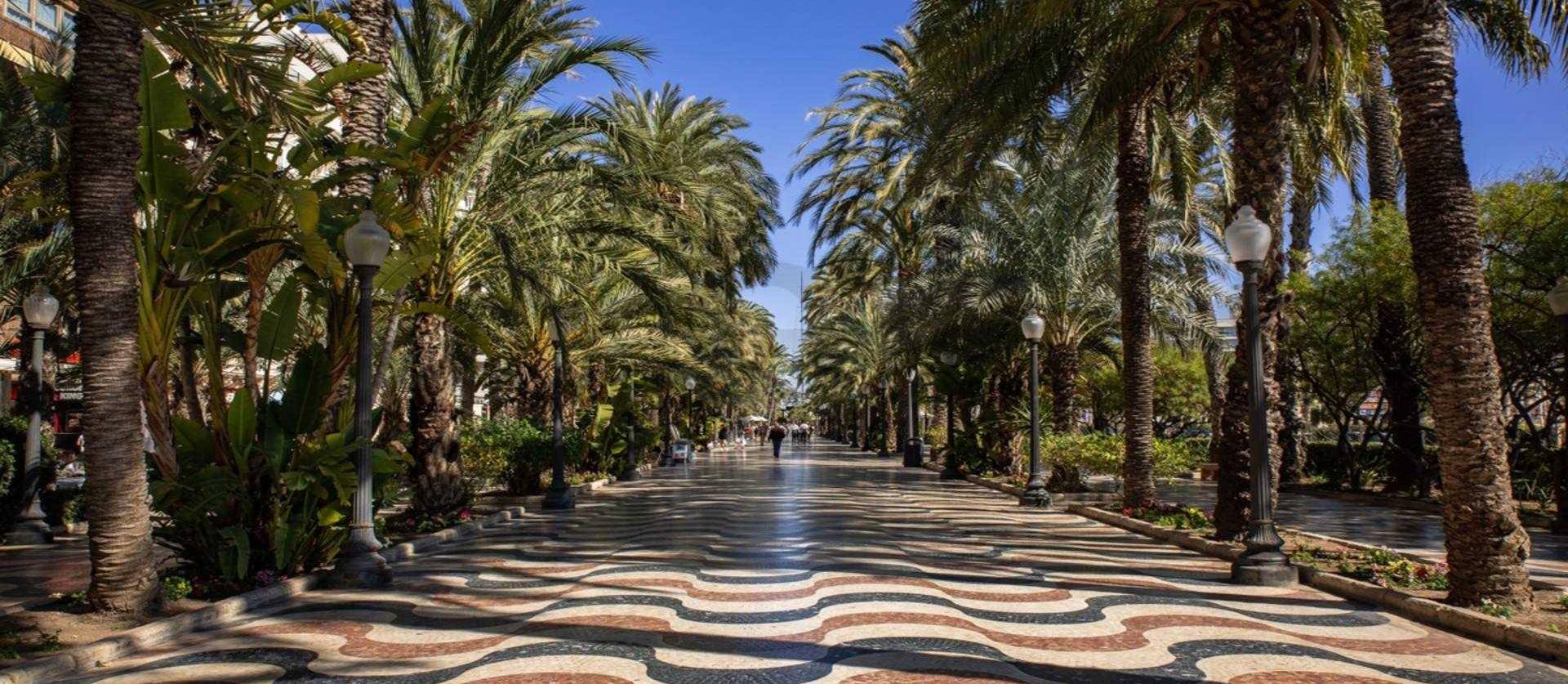 Nueva construcción  - Apartment - Alicante - Center