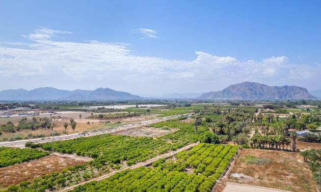Nueva construcción  - Apartment - Jacarilla - Comunidad Valenciana